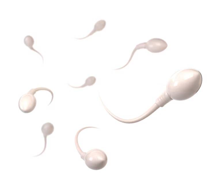 sperm artırıcı ürünler satın al