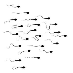 Sperm artırıcı