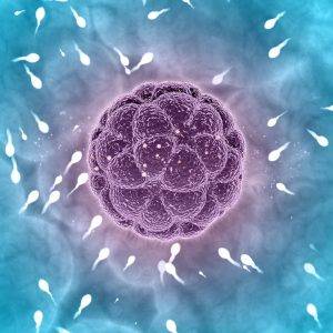 Sperm sayısı nasıl artırılır